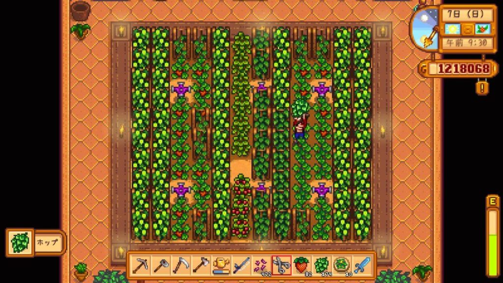 Stardew Valley 農業で効率良くお金を稼ぐ方法 木こりのゲームライフ